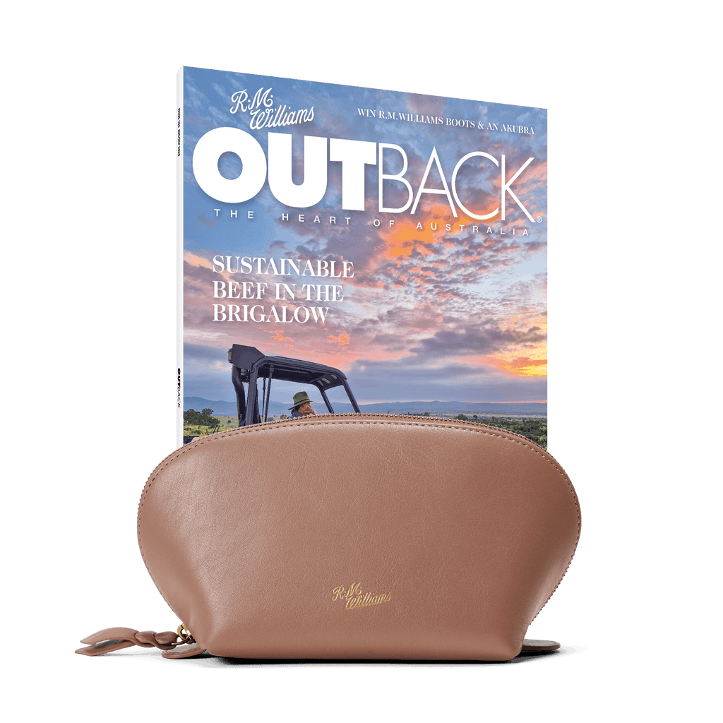 Cosmetics Case + 1 Year Subscription (6 Issues)