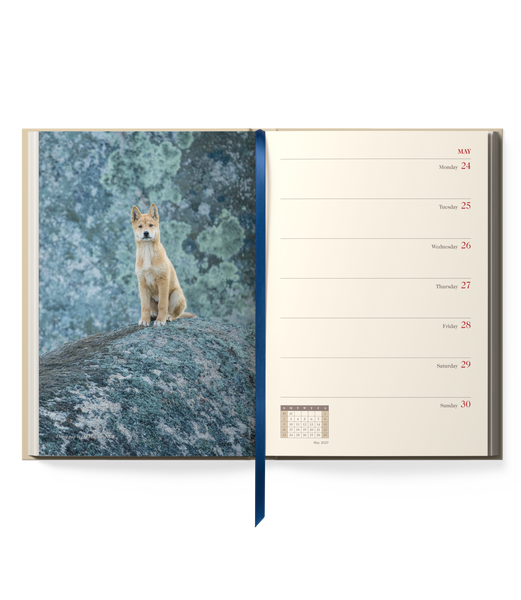 2027 OUTBACK Diary