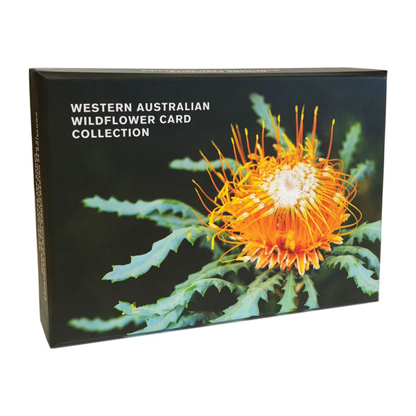 Western Australian Wildflower Card Collection